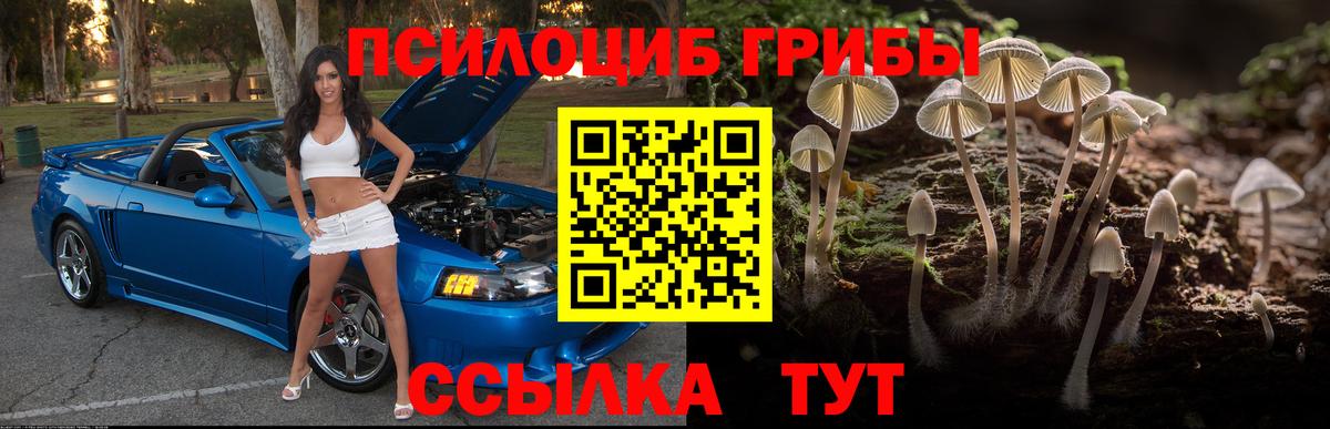Воскресенск  Галлюциногенные грибы Psilocybe  Вход с VPN 